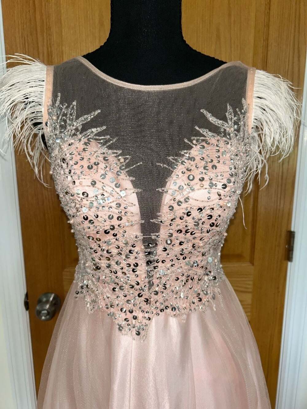 Blush Pink Tulle Formal Prom Dress with Feather Sleeves and Sequined Bodice - Picture 4 of 4